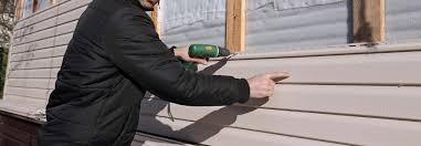 Best Custom Siding Design  in Knoxvle, IL